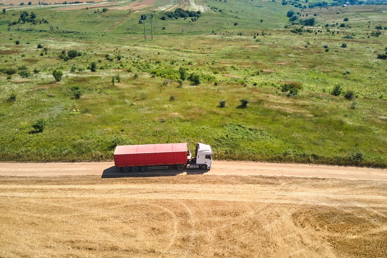 Aerial view of cargo truck driving on dirt road between agricultural wheat fields. Transportation of grain after being harvested by combine harvester during harvesting season.